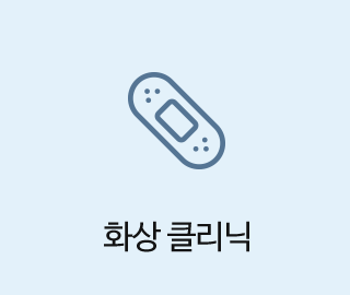 화상 클리닉